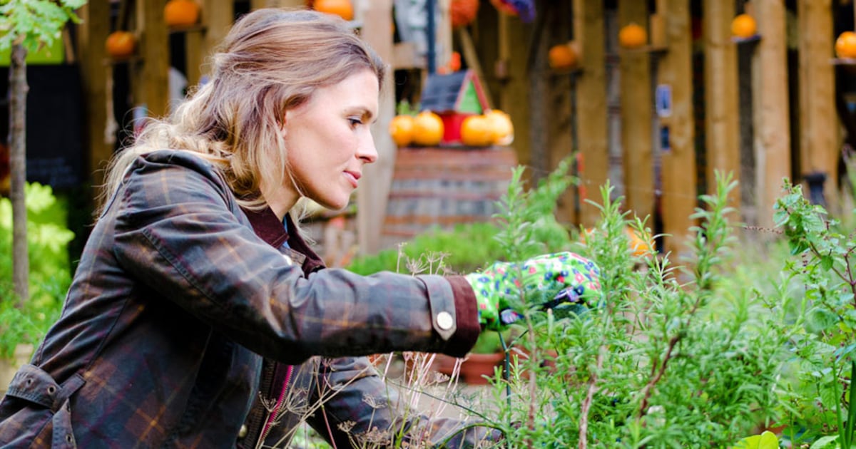 Zó Maak Je Nu Alvast Een Gezellige Klaar Voor De Winter-tuin | Margriet