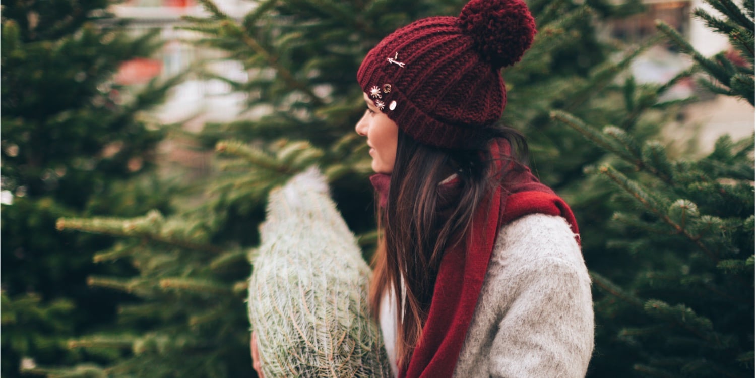 Zó koop je een goede kerstboom waar je langer van profiteert Margriet