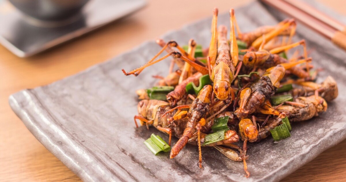 Dit zijn de belangrijkste voordelen van insecten eten