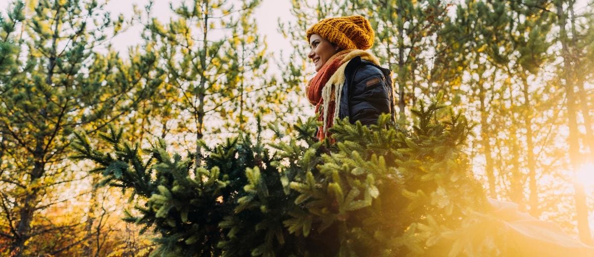 Kerstboom met kluit of toch zonder? Dit zijn de voor en nadelen van