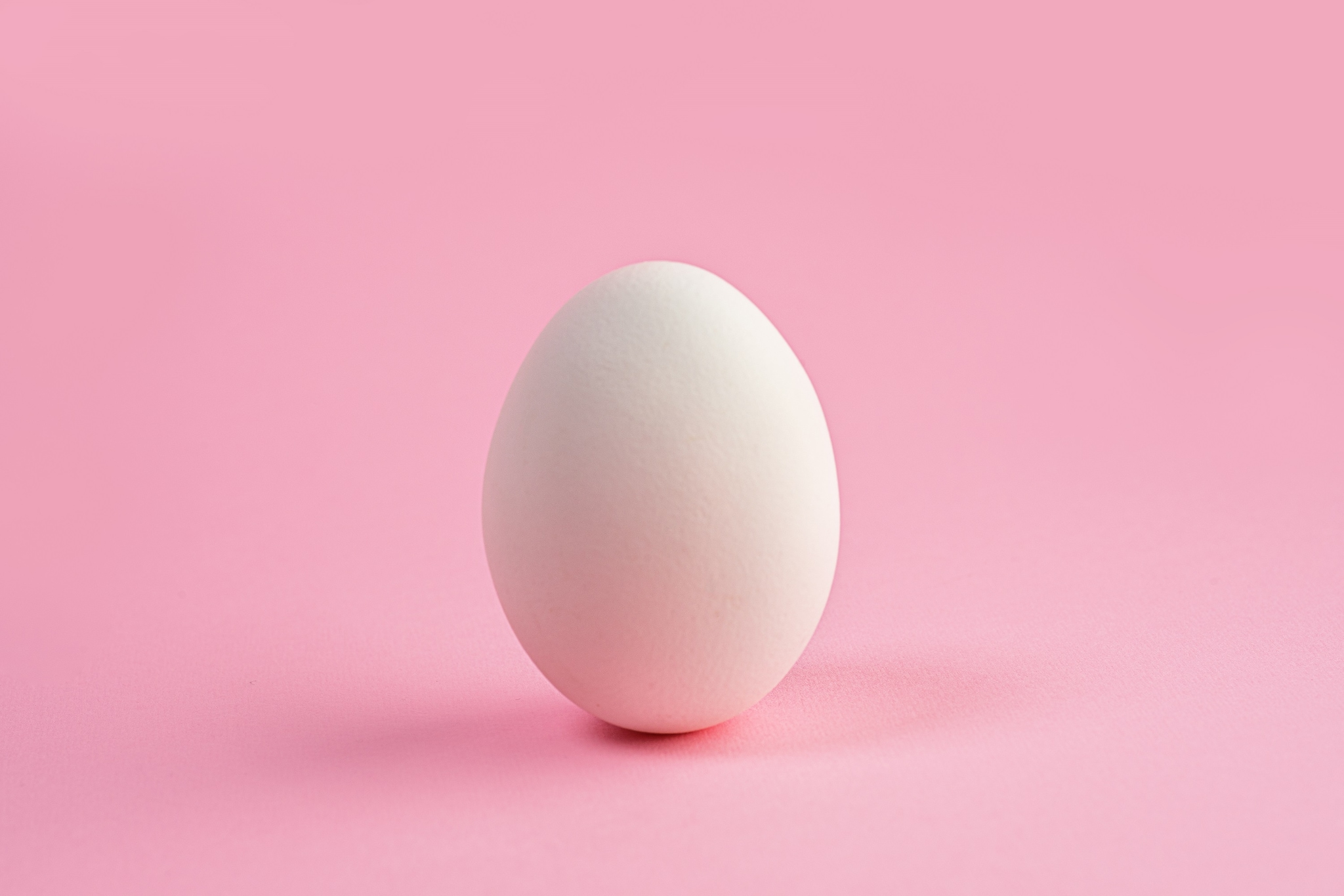 Dit is waarom eieren zo duur zijn (en waarom dit zo blijft)