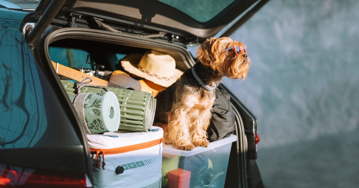 Zó pak je de auto slim en veilig in voor de vakantie