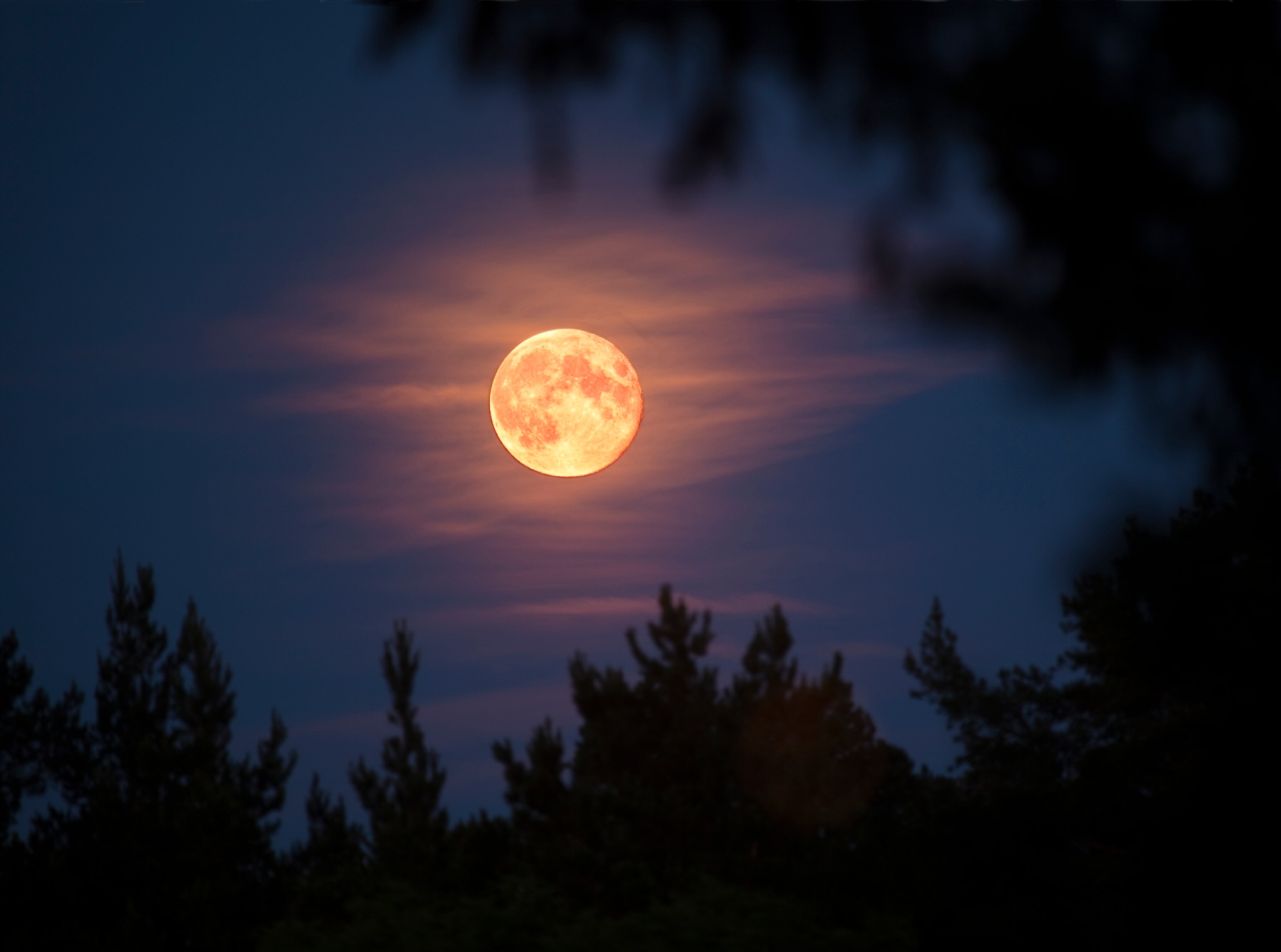 Dit kun je merken van de volle maan in Stier volgens deze astroloog