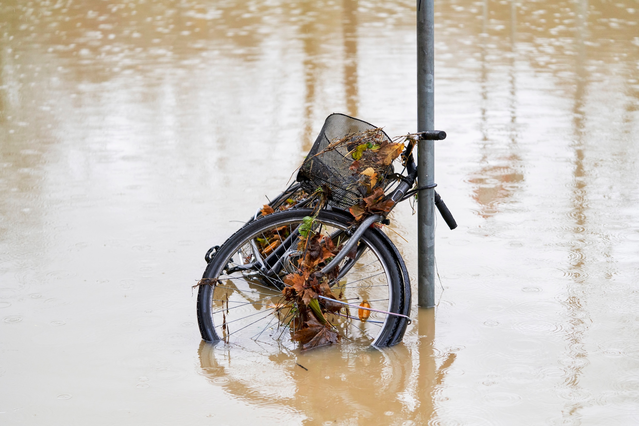 Dit is de oorzaak van overstromingen en wateroverlast in Nederland ...