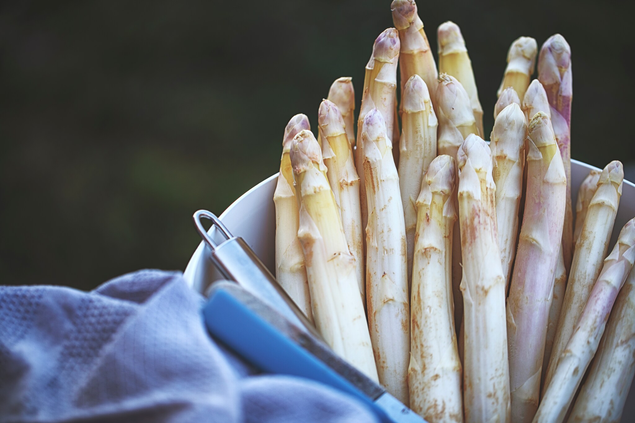 Het witte goud: waarom zijn asperges zo duur?