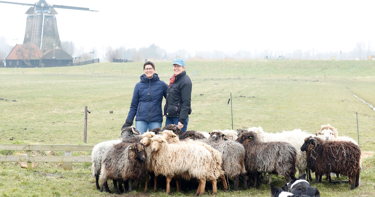 Een bijzondere nalatenschap: dit kun jij betekenen