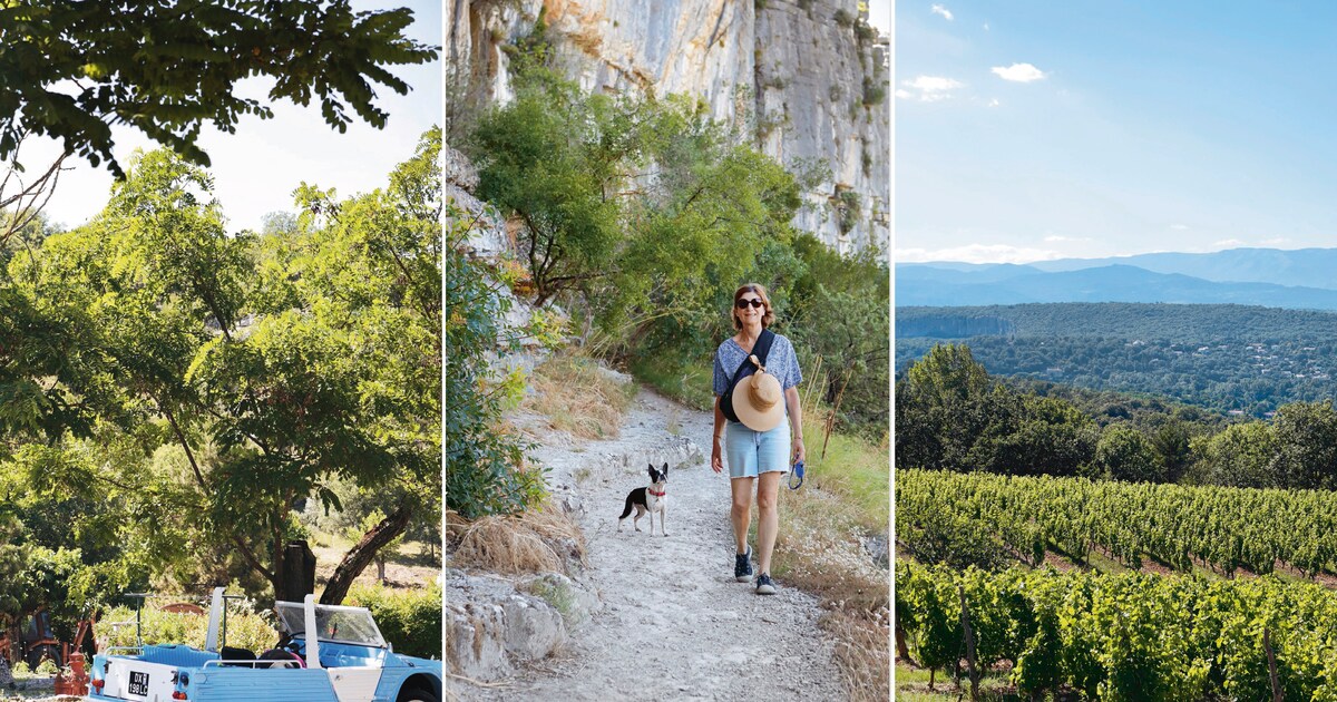 Van sprookjesachtige bossen tot middeleeuwse dorpjes: de Ardèche is Frankrijk op zijn best