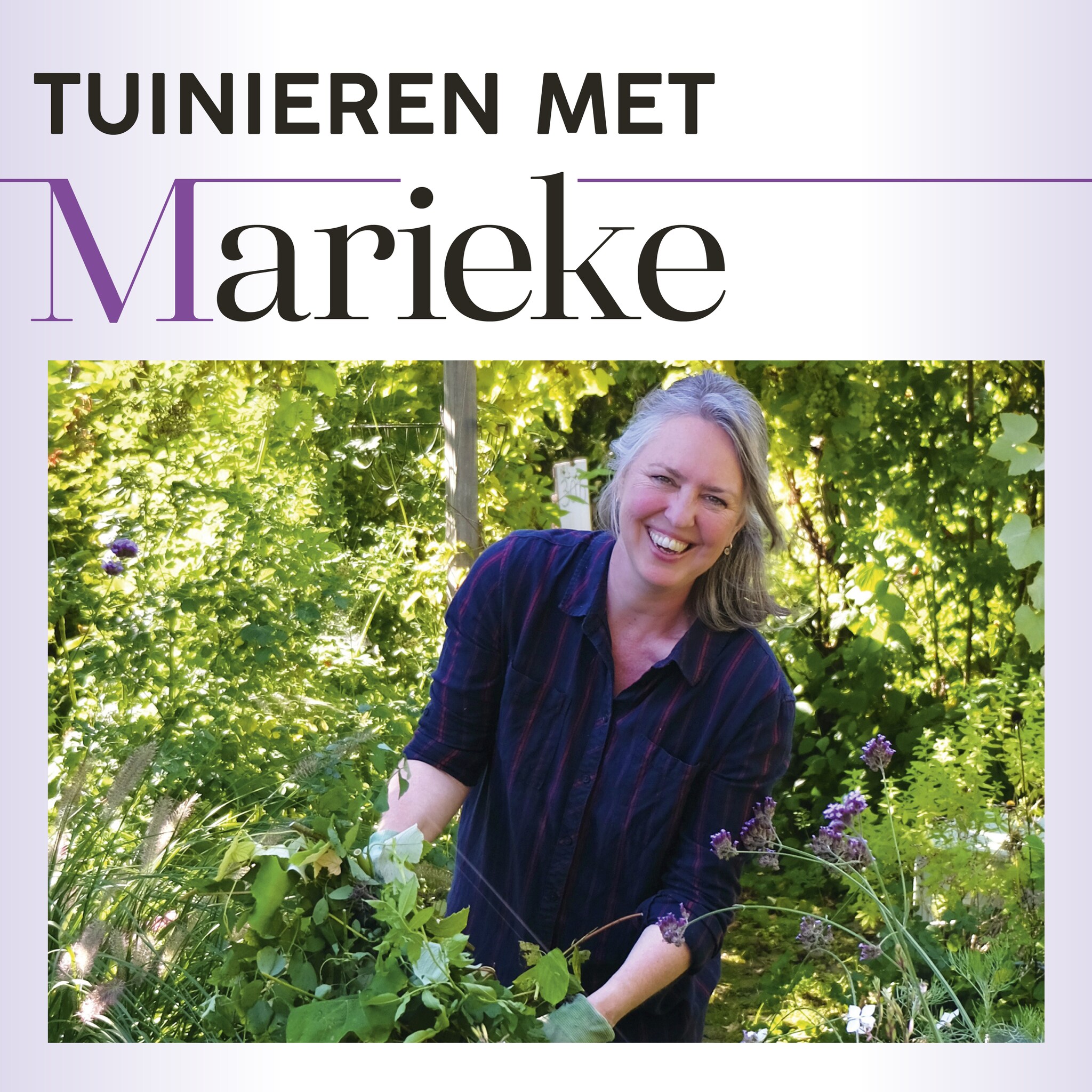Zó reken je af met heermoes in de tuin