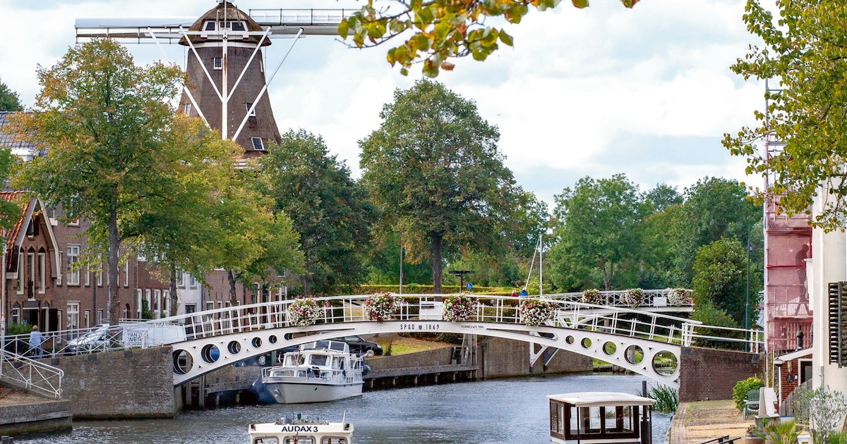 Slenter net als de koninklijke familie door Dokkum