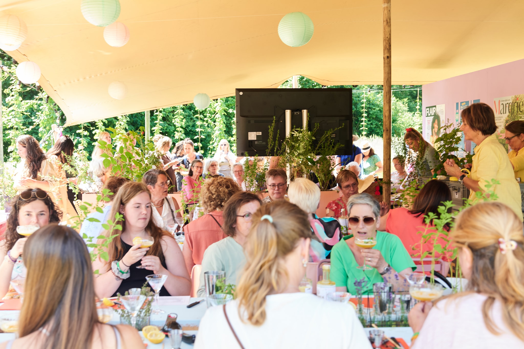 Gun jezelf een dag vol geluksmomenten in de natuur op het Vogelvlucht Festival