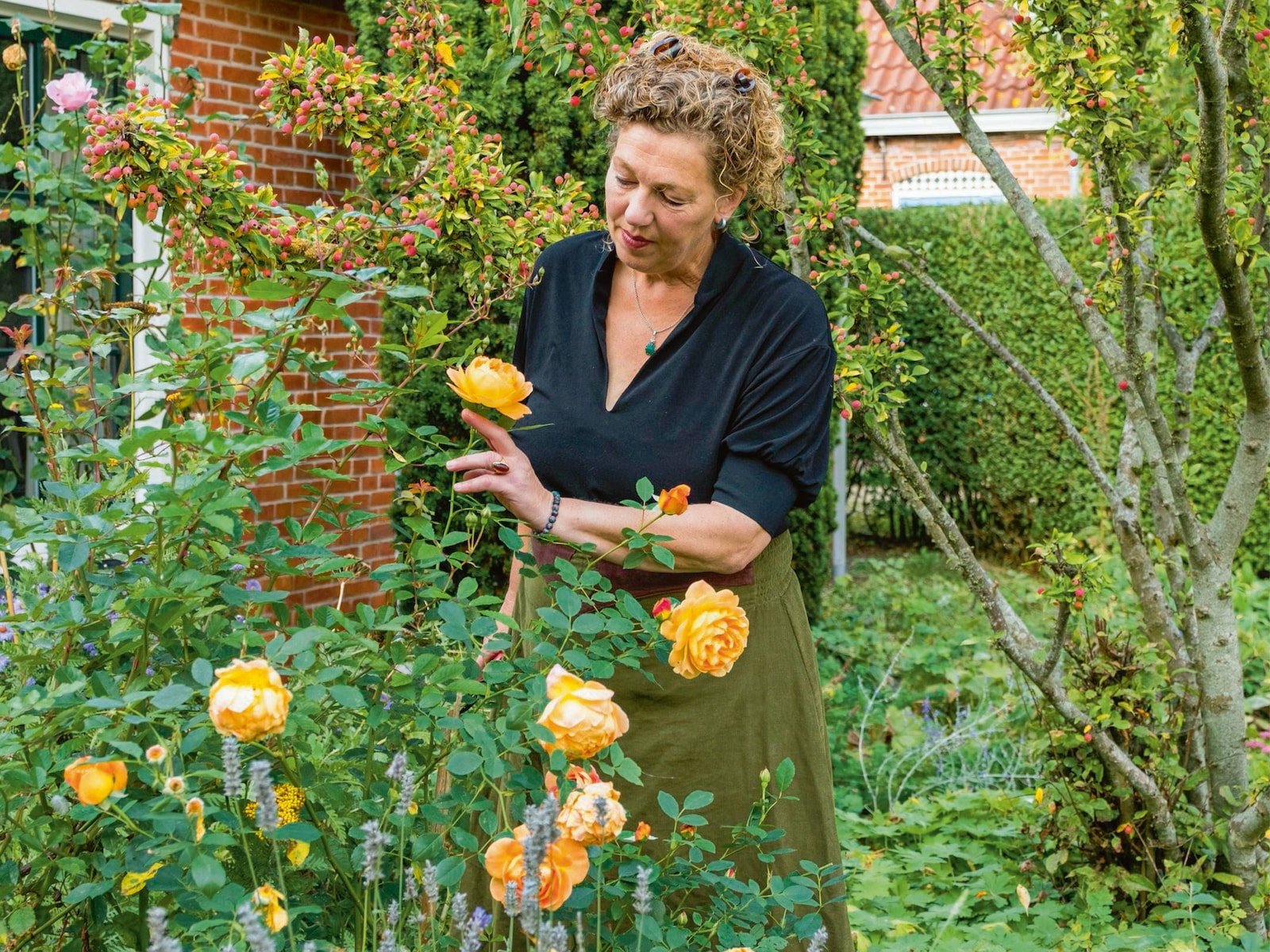 Deze oranje bloemen maken van je tuin een echte blikvanger