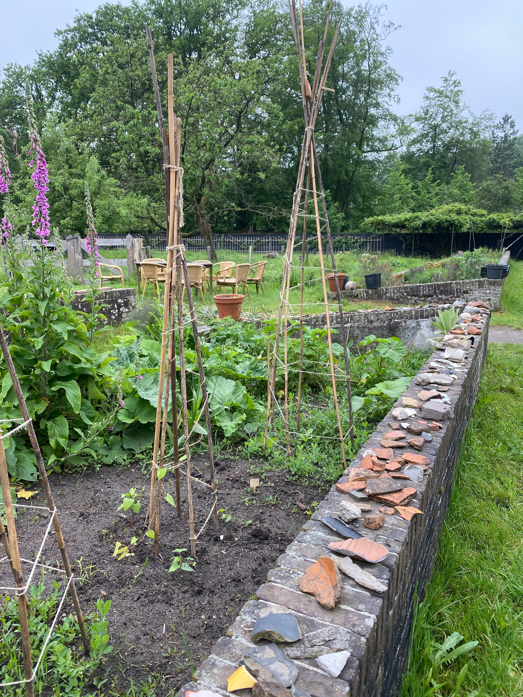 Rondje van Six: ‘Alsof ik weer even in mijn moestuin sta’