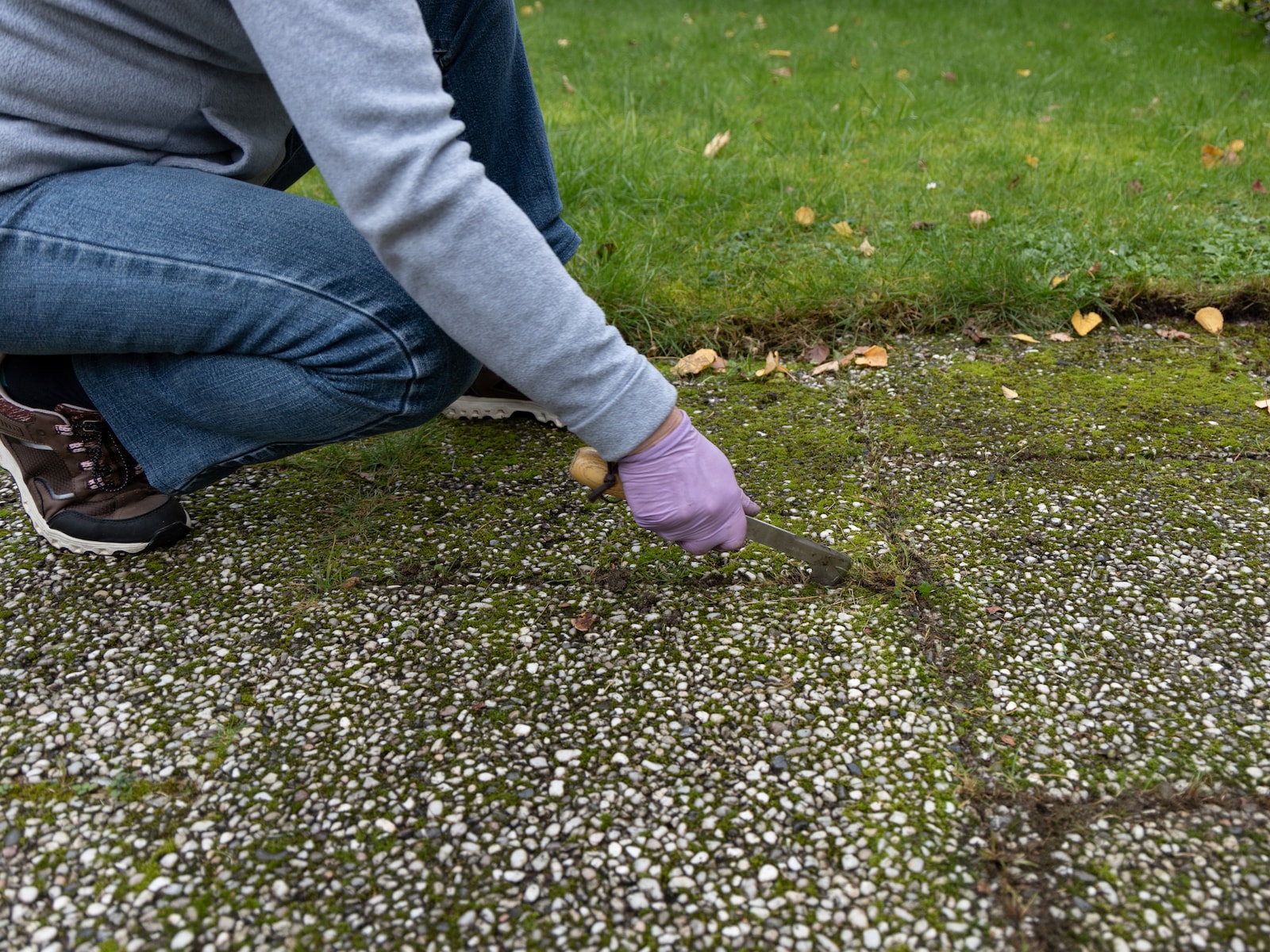 Groene aanslag op je tuintegels? Dit kun je beter niet doen