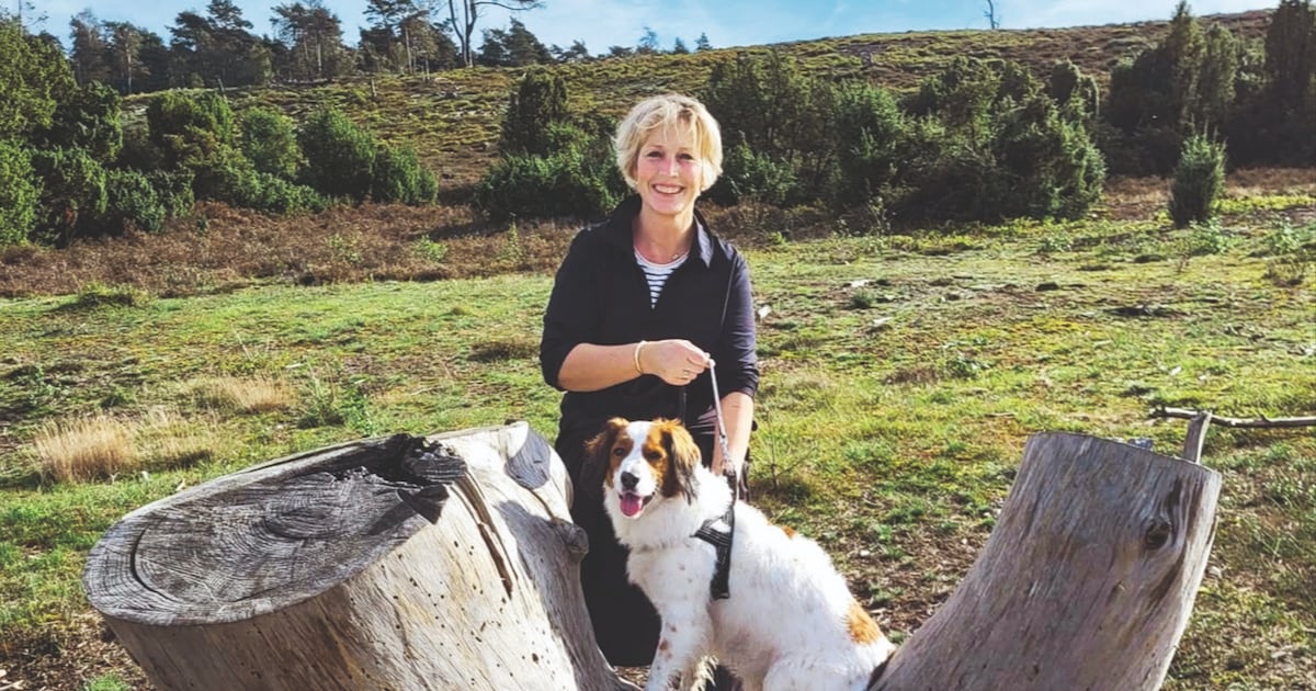 Cora (55) heeft chalet op een camping in Ommen: ‘Ik ben me nu veel bewuster van hoe mooi Nederland i